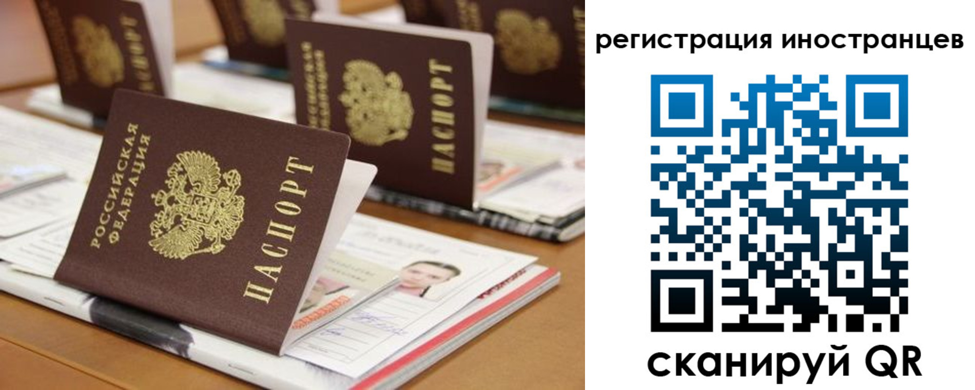 прописка для работы в Ершове